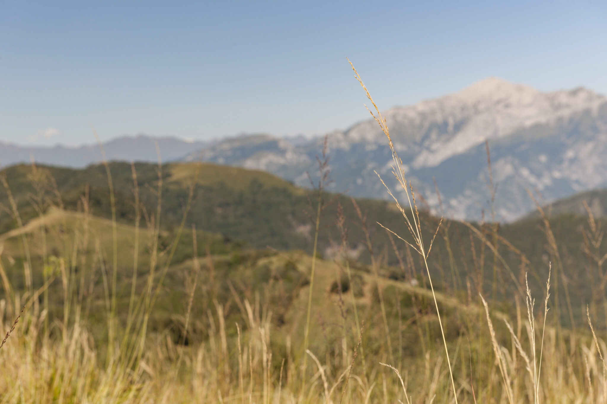 Prati, pascoli e boschi a Sormano